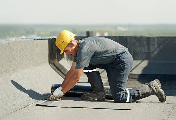 Best Residential Insulation in Belleair, FL