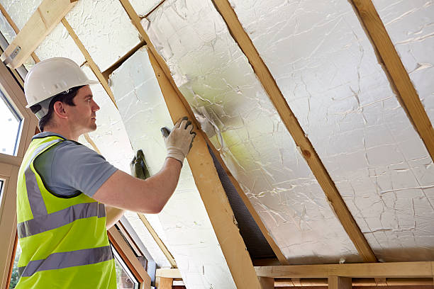 Best Insulation Maintenance and Repair in Belleair, FL